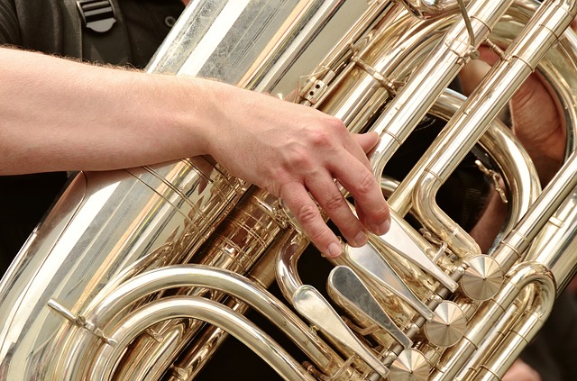 Tuba - Instrument de Jahres 2024